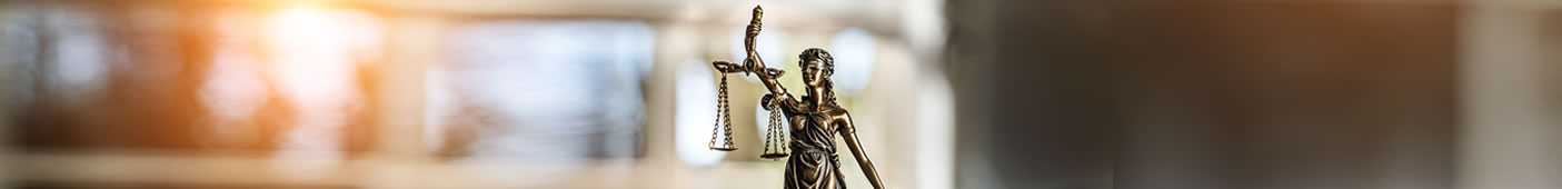 Civil & Criminal Litigation